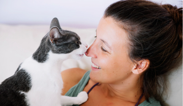 Letting Your Cat Lick You?:Learn The Surprising Facts and the Pros and Cons