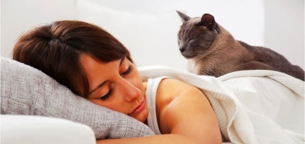 Can Cats Tell When We Are Sick