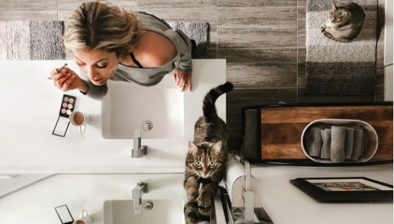 Why Your Cat Follows You to the Bathroom?Discover the 4 Intriguing Points