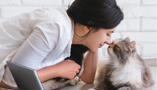 Do Cats Have a Favourite Person? Know the 3 Intriguing Facts on this Mysterious Topic