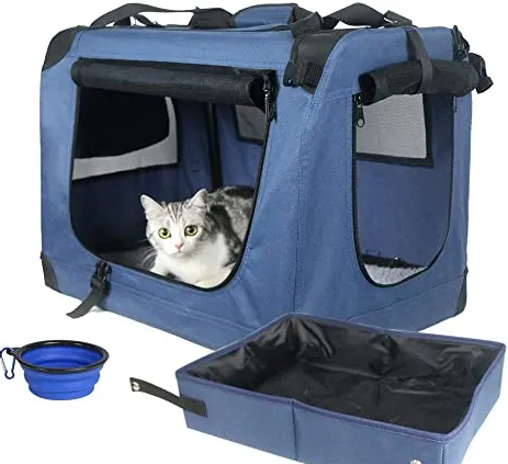 Do Cats Need A Litter Box In The Car?